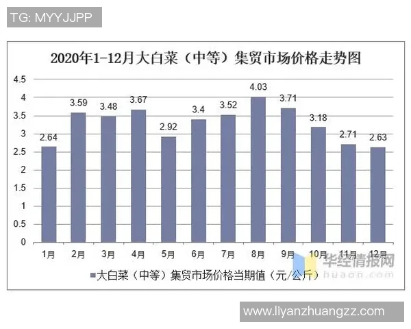 球星足球短袖价格大揭秘不同品牌和款式的市场行情分析 球星足球短袖价格大揭秘不同品牌和款式的市场行情分析