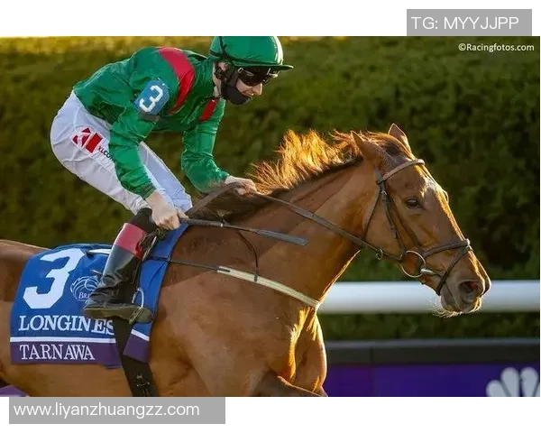 美国足球明星子嗣名字背后故事揭秘 你不知道的那些传承与传奇 美国足球明星子嗣名字背后故事揭秘 你不知道的那些传承与传奇