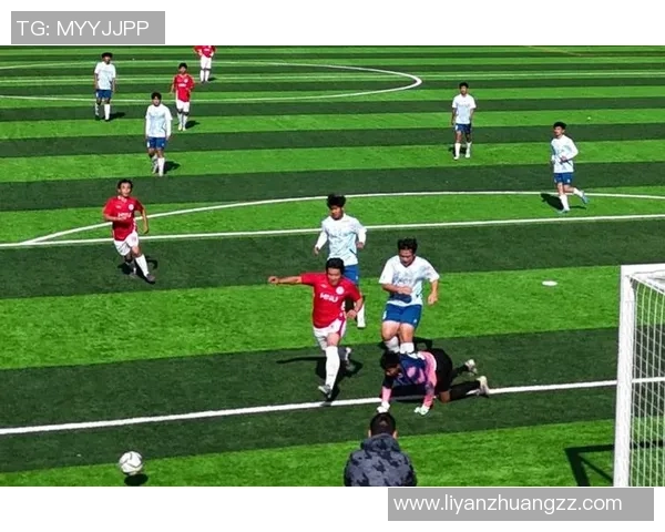 许为绿茵赛场逐梦之路全面解析与辉煌时刻回顾